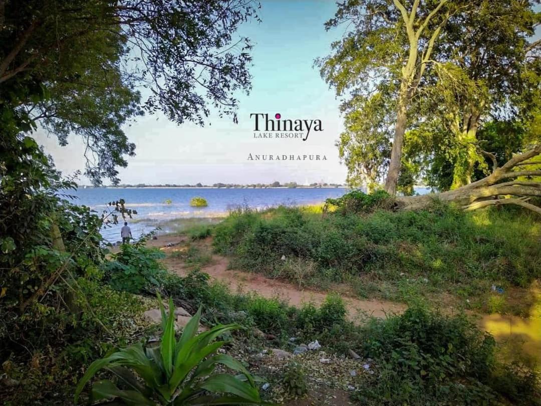 Thinaya Lake Resort Anuradhapura Εξωτερικό φωτογραφία